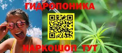 спиды Тверь